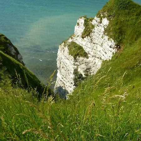 Appartement Une Boucane En Bord De Mer