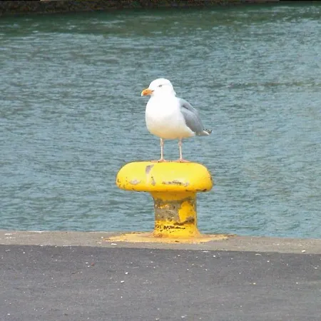 Une Boucane En Bord De Mer * Fécamp